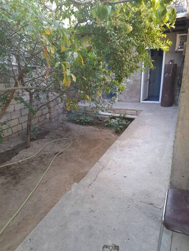 Uzunmüddətli kirayə evlər: 80 kv. m, 3 otaqlı — 4