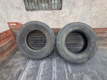 emteze 80: - Ölçü: 295/80 R22,5 — 4