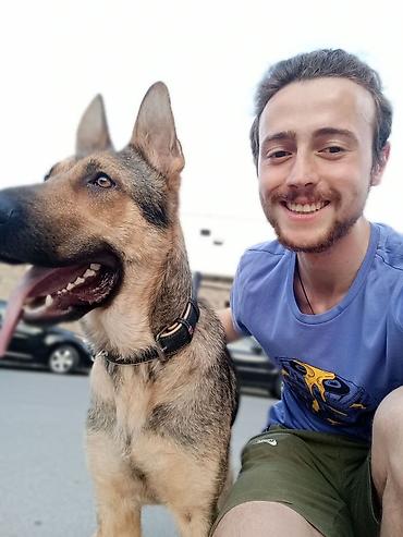 İtlər: 🐾 DOGGIES_X WALKING • BAKU Последние 5 лет собаки — часть моей жизни — 2