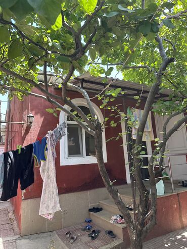 Bağ evlərinin satışı: Novxanı, 78 kv. m, 3 otaqlı -da lalafo.az — 14 Bağ evlərinin satışı: Novxanı, 78 kv. m, 3 otaqlı — 14