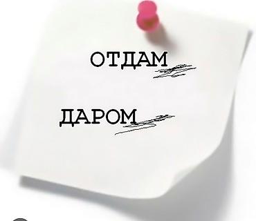 Отдам даром женские вещи. 44-46 размер, пиджаки, платья, футболки