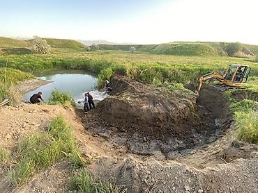 Услуги экскаватора: Экскаватор | Выкорчевывание пней, Траншеи, Водопровод — 7