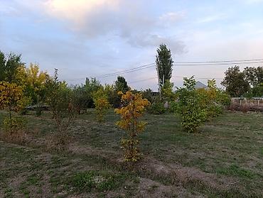 Продажа участков: 6 соток, Для строительства, Красная книга, Договор купли-продажи — 5