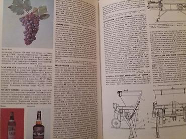 Ensiklopediyalar: Üzümcüluk inçiklopediyasi Rus dildə — 3