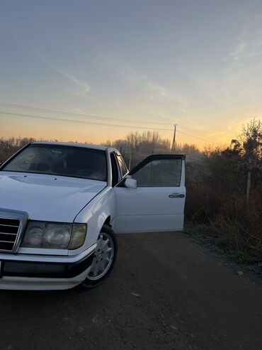 Mercedes-Benz: Mercedes-Benz W124: 1991 г., 2.9 л, Механика, Дизель, Седан — 9
