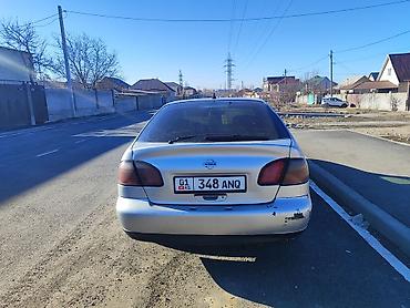 Nissan: Nissan Primera: 2000 г., 2 л, Автомат, Газ, Седан — 5