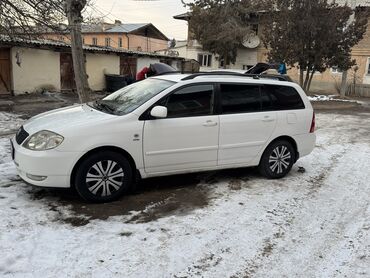 Toyota: Toyota Corolla: 2003 г., 1.6 л, Механика, Бензин, Универсал