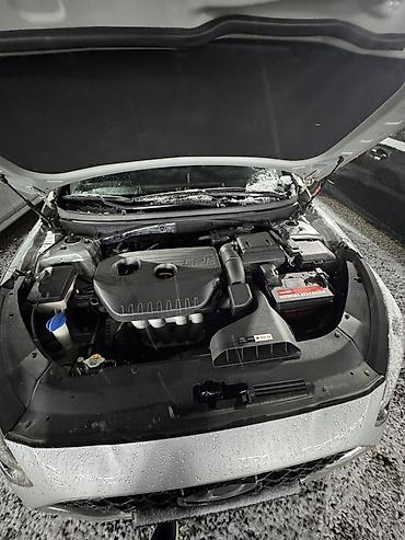 Hyundai: Hyundai Sonata: 2019 г., 2 л, Автомат, Газ, Седан — 8