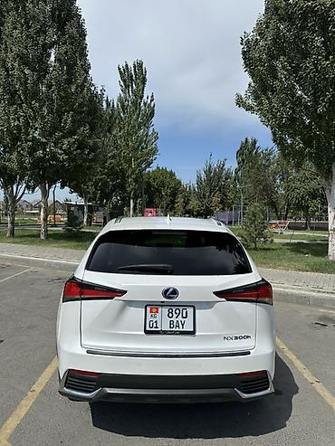 zimmer e9 pro: Lexus NX: 2020 г., 2.5 л, Вариатор, Гибрид, Кроссовер — 3