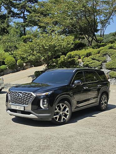 фары на опель вектра б: Hyundai Palisade: 2021 г., 2.2 л, Автомат, Дизель, Кроссовер — 3