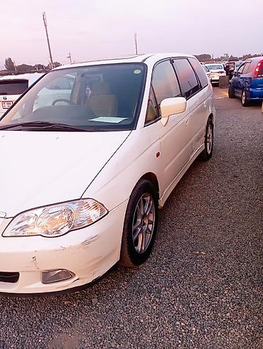 subaru legacy 2000: Honda Odyssey: 2000 г., 2.3 л, Автомат, Бензин, Минивэн — 5