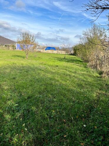 Torpaq sahələrinin satışı: 18 sot, Biznes üçün, Kupça (Çıxarış) — 10