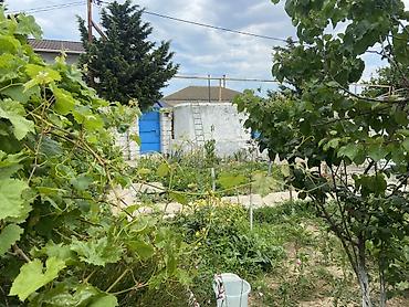 Bağ evlərinin satışı: Digah, 70 kv. m, 3 otaqlı, Hovuzsuz, Qaz, İşıq, Su — 3
