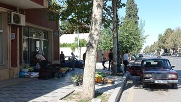 Kommersiya daşınmaz əmlakının satışı: Pod obyekt evdi̇r. Gəncə şəhərimizin ən gözəl təmiz ekoloji — 4