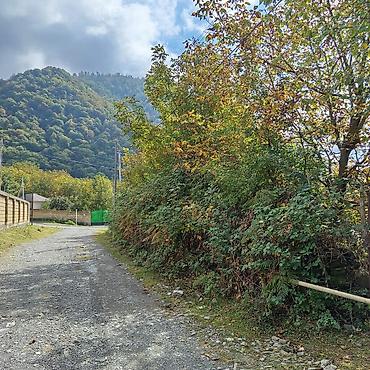 Torpaq sahələrinin satışı: 16 sot, Kənd təsərrüfatı, Makler, Kupça (Çıxarış) — 3