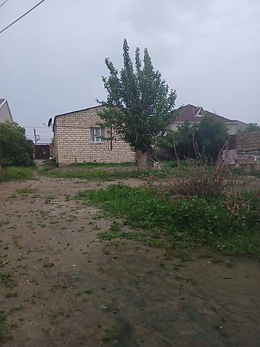 araz supermarket neftciler: 9 sot, Tikinti, Mülkiyyətçi, Kupça (Çıxarış) — 1