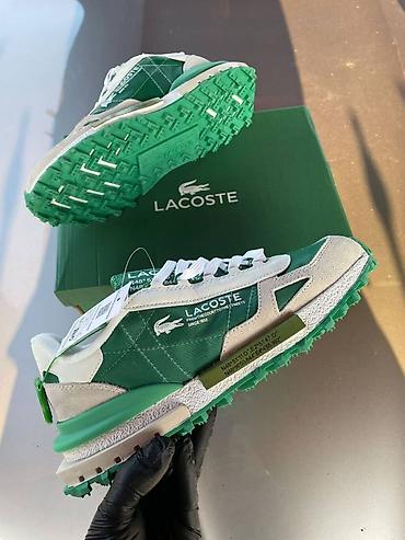 tamnoplava: Lacoste patike NOVO Novo Brojevi 41 do 46 fb Moja Kupovina 1 — 1
