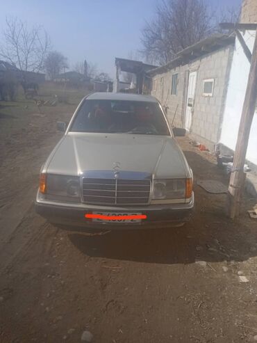 комнатные цвет: Mercedes-Benz W124: 1990 г., 2.3 л, Механика, Бензин, Седан