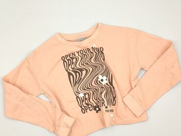 Sweatshirt, Decathlon, 12 years, 146-152 cm, condition - Very good