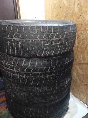 зимние шины липучка: Шины 205 / 60 / R 16, Зима, Б/у, Комплект, Легковые, Dunlop — 3