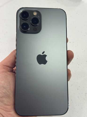 remont apple: IPhone 12 Pro Max, 256 ГБ, Graphite, Face ID