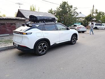 byd han ev: Zeekr : | 2026 г. Кроссовер — 8