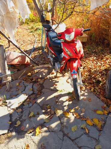 скутер кобра shunfeng hn125t 4 запчасти: Скутер/мопед класс “underbone” (мокик) красного цвета. Особенности и