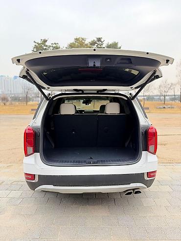 Hyundai: Hyundai Palisade: 2019 г., Автомат, Кроссовер — 19