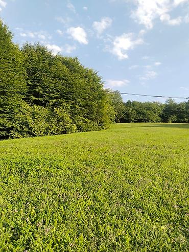 Torpaq sahələrinin satışı: 92 sot, Biznes üçün, Mülkiyyətçi, Kupça (Çıxarış), Bələdiyyə, Müqavilə — 8