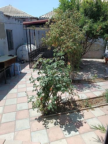 Həyət evləri və villaların satışı: Əhmədli 8 otaq, 150000 kv. m, Kredit yoxdur, Orta təmir — 7