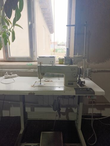 тамбурный машинка: Швейная машина Typical, Полуавтомат