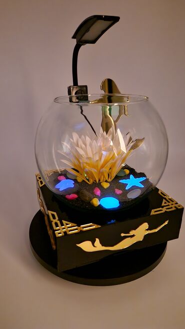 Akvariumlar: Yumru akvarium, Balıqlarla birlikdə, 3 l, Pulsuz çatdırılma — 10