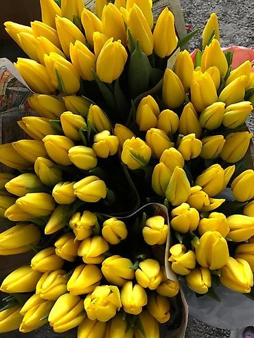 Цветы и букеты: ТЮЛЬПАНЫ ТЮЛЬПАНЫ ТЮЛЬПАНЫ на 8 марта. Бронь - Палитра: ярко‑желтые — 1