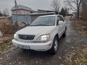 Lexus: Lexus RX: 2002 г., 3 л, Автомат, Бензин, Кроссовер