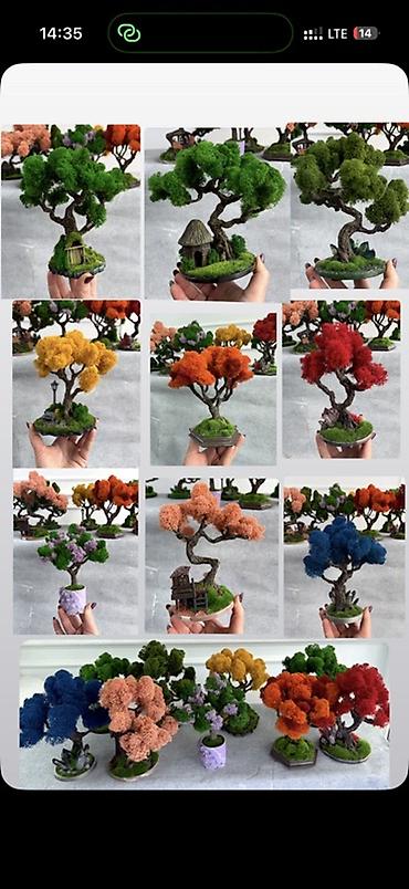 Другой декор и предметы интерьера: Декоративное настольное деревце Бонсай из стабилизированного мха- — 4