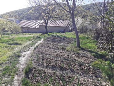 Torpaq sahələrinin satışı: 10 sot, Tikinti, Mülkiyyətçi, Kupça (Çıxarış) — 4