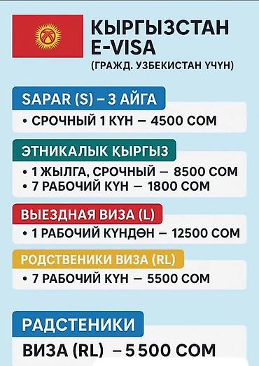 визу америку: Виза в Китай, Дубай, США и Е-ВИЗА Авиабилеты и туры! Тел — 6