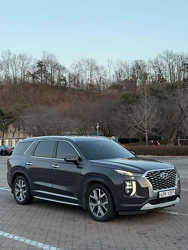 Hyundai: Hyundai Palisade: 2019 г., 2.2 л, Автомат, Бензин, Кроссовер — 11