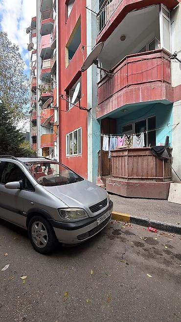 xaski it: Məhsul: Balaca it balaları Təsvir: - Şəkillərdə 2 fərqli cinsə bənzər — 3