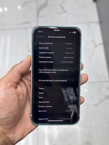 iphone plus: IPhone Xr, Б/у, 256 ГБ, 100 % — 3