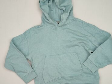 luźne sweterki: Sweatshirt, Destination, 10 years, 134-140 cm, condition - Perfect