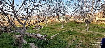 tovuzda: 3 sot, Tikinti, Mülkiyyətçi, Kupça (Çıxarış) — 7