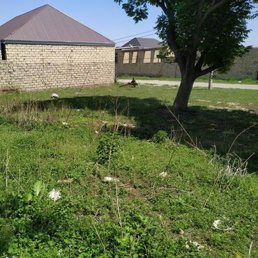 aile ucun kiraye evler 2022: Tikinti
