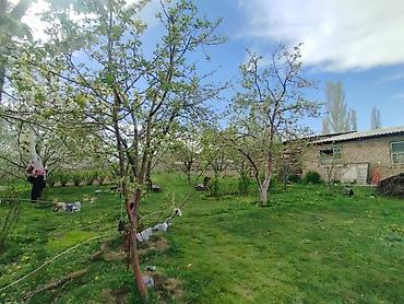 продам участки: Дом с участком и хозяйственными постройками - Жилой дом на закрытом — 4