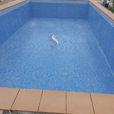 Hovuzlar: Hovuz fantan mazayka isderinin gorulmesi 0 Dan yuksek seviyeme -da lalafo.az — 17 Hovuzlar: Hovuz fantan mazayka isderinin gorulmesi 0 Dan yuksek seviyeme — 17