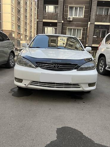 тойота камри 2005: Toyota Camry: 2005 г., 2.4 л, Автомат, Газ, Седан — 2