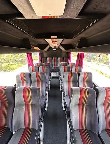 i bus: Автобус, DAF, 40 и более мест — 4
