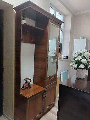 gulculuk: Dəhliz üçün güzgülü dolab satılır
Ünvan Ramana Gülçülük sovxozu — 1