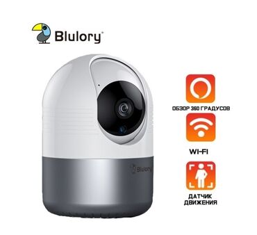 ip камеры smar с удаленным доступом: Домашняя WiFi Камера Видео наблюдения Blulory Smart WiFi Camera +