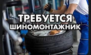 СТО, автобизнес: Требуется Автомеханик - Шиномонтажник, Процент от дохода, Менее года опыта, Обучение — 1
